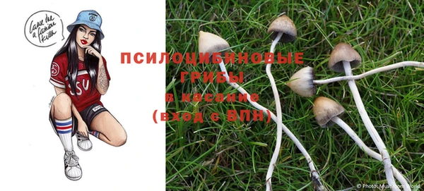 таблы Алзамай